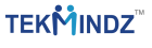 TekMindz_Logo